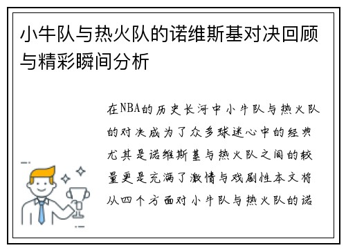 小牛队与热火队的诺维斯基对决回顾与精彩瞬间分析