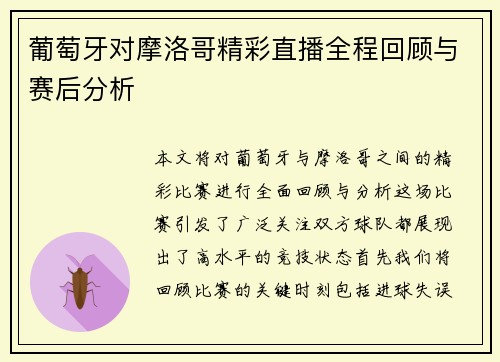 葡萄牙对摩洛哥精彩直播全程回顾与赛后分析